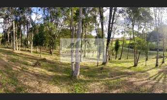 Imagem 5: Sítio à venda no bairro Centro - Campo Alegre/SC