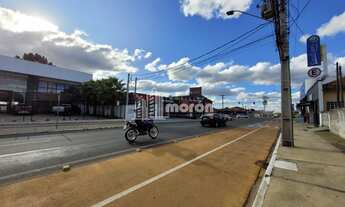 Imagem 4: TERRENO COMERCIAL PARA ALUGAR NO JD. CARVALHO