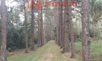 Imagem 4: Residencial - Sarapui dos Torres