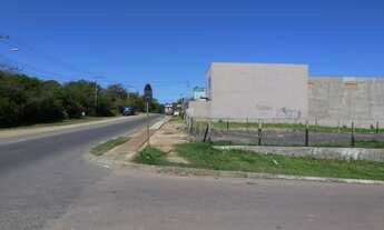 Imagem 4: Terreno comercial na Ary Tarrago