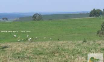 Imagem 2: Fazenda de 42 Alqueires em Itapetininga