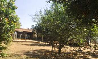 Imagem 7: Fazenda/Sítio/Chácara, 6 Alqueires goiano, terra de cultura, 2 represas, córrego,Pirenópol