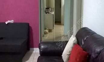 Imagem 2: Casa Térrea à Venda e Locação em Cidade Dutra - São Paulo