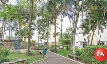 Imagem 7: São Paulo - Apartamento Padrão - Brás