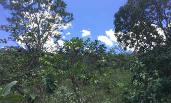 Imagem 6: Área chácara,24.000m2, escritura, cercada, cerrado, Morro dos Pireneus, km12, Pirenópolis