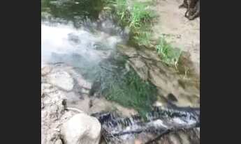 Imagem 7: Sítio luz da serra (6 hectares) vende-se ou troca. ( 20 minutos do shopping