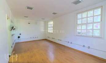 Imagem 5: Jardim Botânico