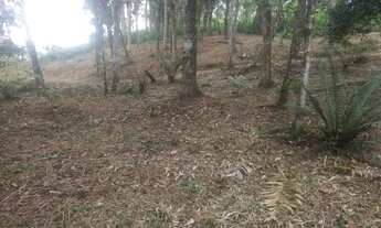 Imagem 3: Terreno com poço artesiano 1600 mts² 200mts do asfalto