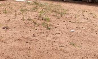 Imagem 5: Casa (pequena) com piscina ( excelente pra alugar pra eventos ou moradia