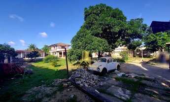 Imagem: Serraria, Casa tipo Chácara com 05 quartos