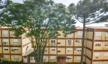 Imagem 5: PORTO ALEGRE - Apartamento Padrão - Camaquã