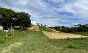 Imagem 2: Terreno na ilha oportunidade