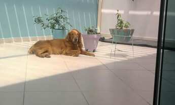 Imagem 7: DUPLEX - VILA MARIZA - SP