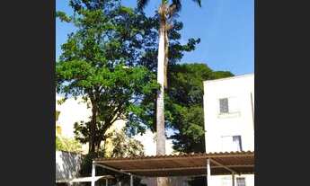 Imagem 5: Apartamento Padrão em Ribeirão Preto