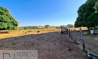 Imagem 7: CEDRAL (SP) Sítio 1,36 alqueires