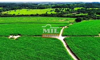 Imagem 6: Fazenda 269 alqueires ( 1, 304 hectares) Mineiros - GO