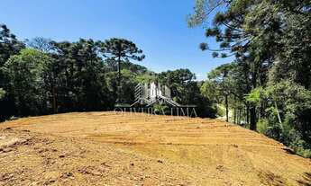Imagem 3: Chácara com 1 Dormitorio(s) localizado(a) no bairro Mandassaia em Campina Grande do Sul
