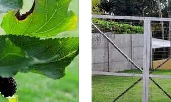 Imagem 2: Chácara completa