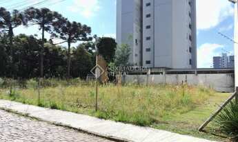 Imagem 4: Terreno no bairro Villa Horn