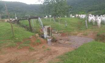 Imagem 7: Fazenda 40 Alqueires em Cocalzinho-GO