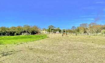 Imagem 4: SÍTIO NO AREAL Fazenda / sítio com venda por R$930.000