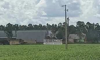 Imagem: Imóvel para venda tem 150000000 metros