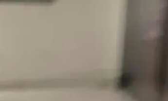 Imagem 5: CONJ. COMERCIAL - PARAÍSO - SP