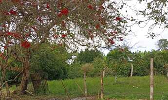 Imagem 7: Vendo excelente fazendinha em jaguaripe