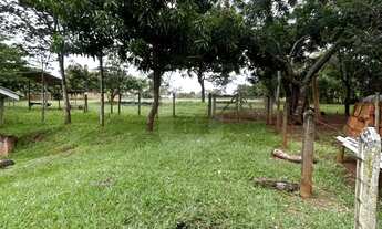 Imagem 4: Chácara Para Venda No Bairro Douradinho