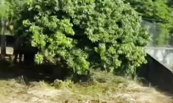 Imagem 5: Venda de terreno 240 mil