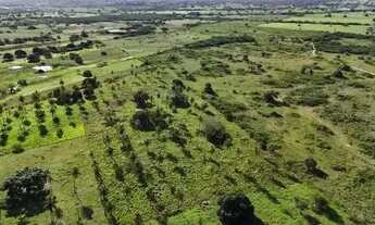 Imagem 7: Excelente fazenda com 50 hectares na região de São Gonçalo do Amarante cortada pelo rio Po