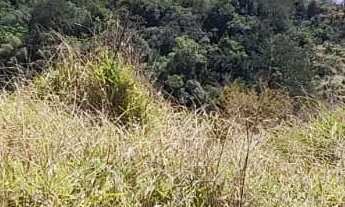 Imagem 6: Terrenos para venda possui 500 metros quadrados em Vila São Domingos - São Roque - SP