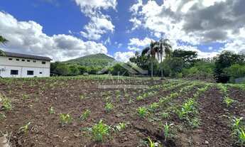 Imagem 6: Amplo terreno comercial à venda no centro de Picada Café na Serra Gaúcha