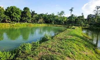 Imagem: Sítio 400 x 1.000 BR 174 km 21 300.000,00