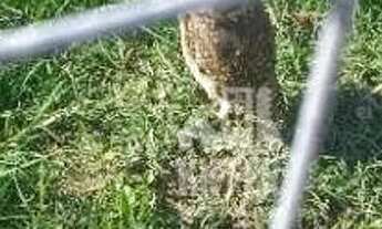 Imagem 6: Terreno à venda, 180 m² por R$ 230.000,00 - Itaipu - Niterói/RJ