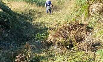 Imagem 2: Sítio em Estrada da Serra Grande - Serra Grande Italiana - Gramado/RS