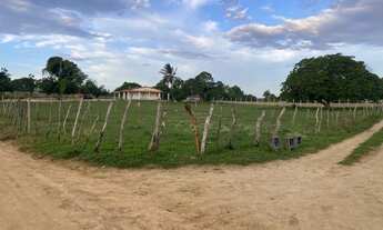 Imagem 3: Localização privilegiada pra venda excelente para fazer sua chácara ou sítio