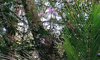 Imagem 5: Terreno troco Chácara 1.141 metros Quintais do Imperador