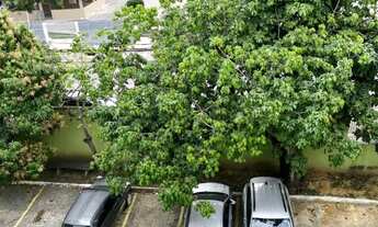 Imagem 7: Ótimo dois quartos em Morada de Laranjeiras, excelente localização