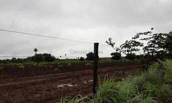 Imagem 3: VENDO FAZENDA 1.226 HECTARES MUNICIPIO DE JANGANDA MT