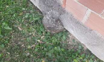 Imagem 6: Galpão para você guardar seus produtos religiosos