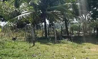 Imagem 4: VENDE-SE OU TROCA-SE SÍTIO EM SIBALDE - JAPARATUBA/SE