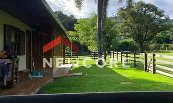 Imagem 3: Sítio em Estrada Municipal - Boa Vista - São Francisco de Paula/RS