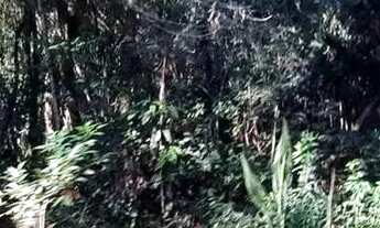 Imagem 4: Lote em Travessa Sapiranga - Recanto Corcunda - Gravataí/RS