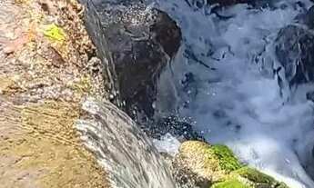 Imagem 5: Fazenda no municipio de Niquelandia perto da cerra da mesa