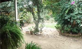 Imagem 7: Sítio à venda com 2 quartos, sendo 1 suíte, em Área Rural de Elias Fausto, Elias Fausto