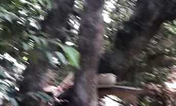 Imagem 5: Chácara 20 mil m2 98.000,00 Rio