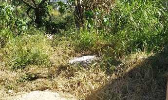 Imagem: Terreno 125 m2 em s. Pedro- sant. Paraíba