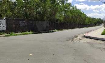 Imagem 3: 136} O lançamento mais esperado do ano: Village Prime Calhau!