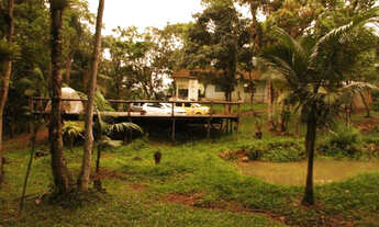 Imagem 6: Aluga se Linda Chácara anual!